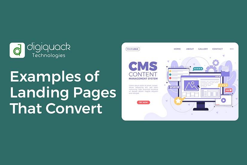 Elevate Your 2024 Marketing Plan with best suited Landing Page Design