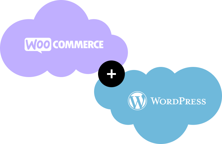 WooCommerce for Your Online Store